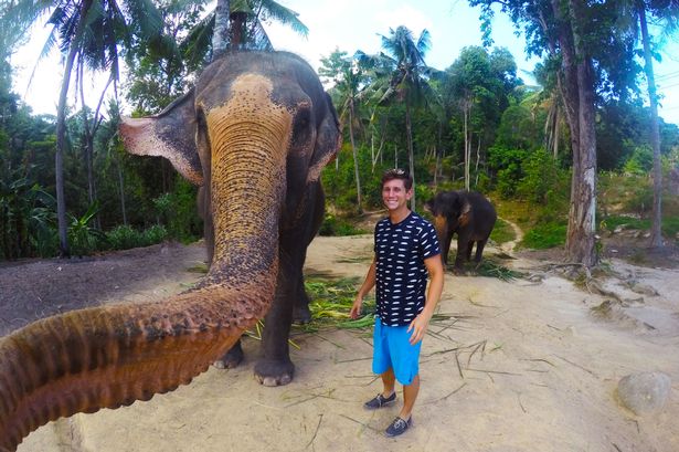 Seekor Gajah Mengambil Kamera Seorang Turis untuk Selfie
