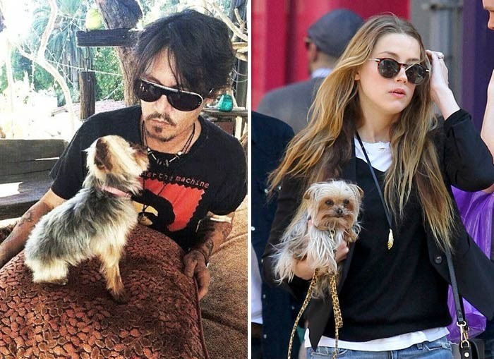 Johnny Depp Terancam 10 Tahun Penjara