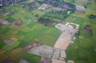 Agar El-Nino Tak Ditakuti, Presiden Bakal Tambah Anggaran Kementan Jadi Rp45 T