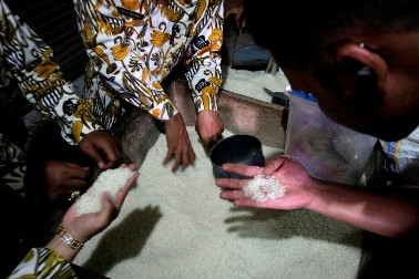 Beras Plastik, JK Anggap PT Sucufindo Keliru