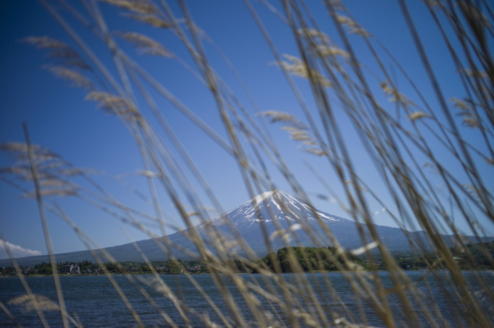 Gunung Berapi Meletus di Jepang, Warga Dievakuasi