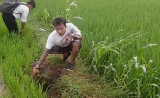 Artefak Raksasa Reruntuhan Candi Ditemukan di Tengah Sawah