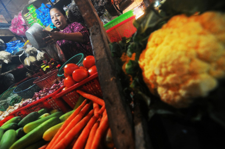 Kejar Swasembada Pangan, Kementan Terapkan Sejumlah Kebijakan