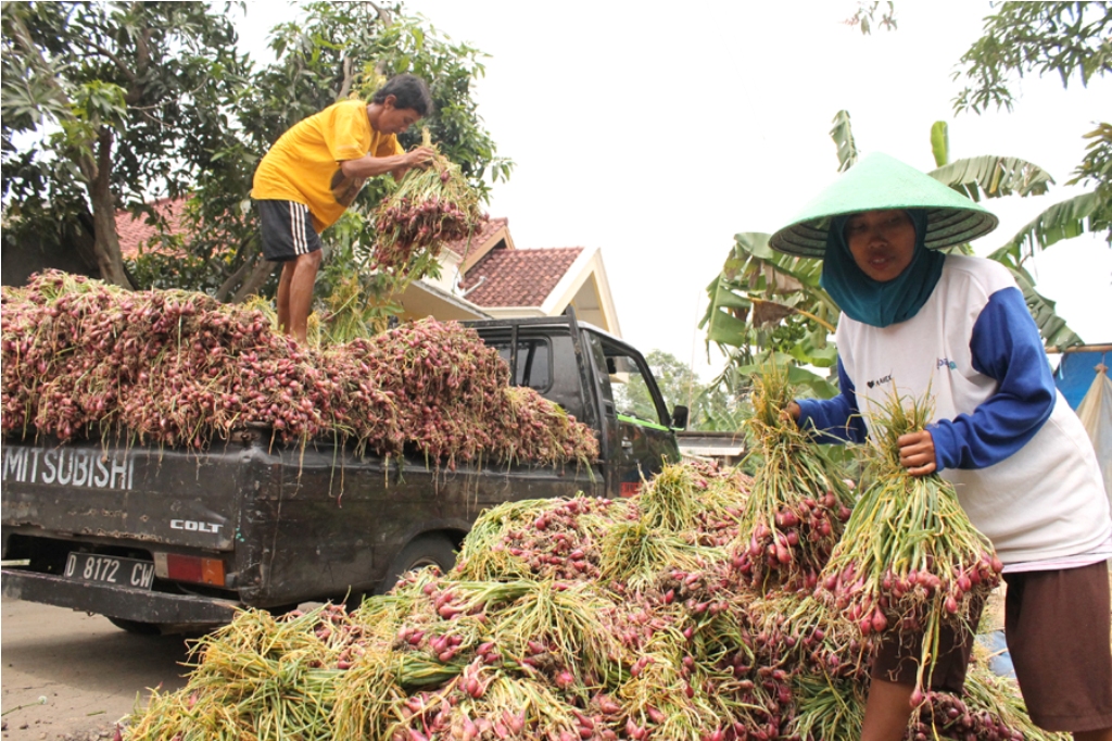 MUI Jawa Barat meminta pedagang tak menimbun barang. Foto: Metrotvnews.com