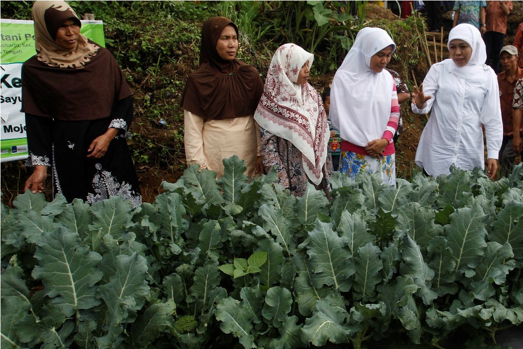 Menteri Sosial Khofifah Indar Parawansa. Foto:Antara/Trisnadi