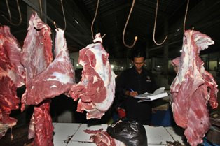 Stok Sapi di Surabaya Kurang Jelang Ramadan