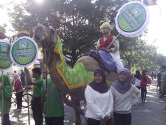 Sambut Ramadan, Dua Unta Didatangkan ke Kota Solo