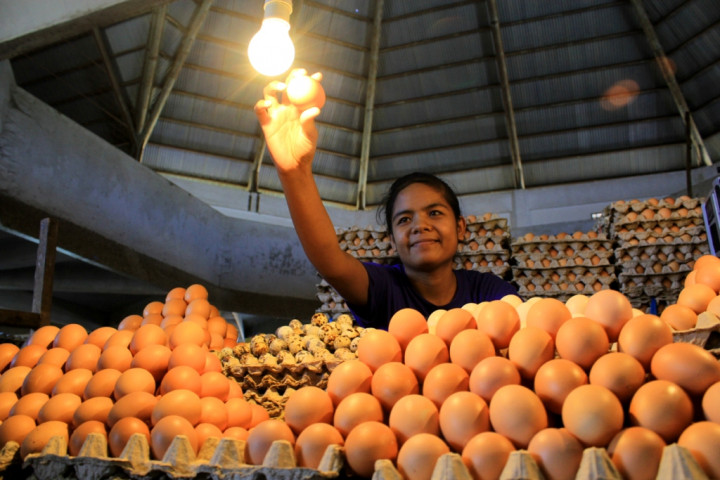 Jelang Lebaran, Harga Telur di Manado Alami Kenaikan 