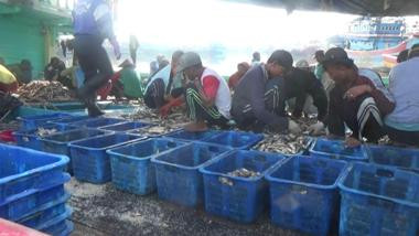 Harga Ikan di Tegal Melambung Tinggi