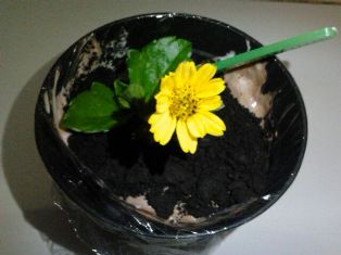 Nikmati Sensasi Es Krim Bermangkuk Pot saat Berbuka Puasa