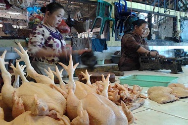 Puasa Hari ke-5, Harga Daging Ayam di Kendal Naik Rp10 ribu per Kg 