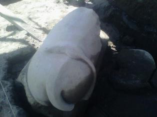 Temuan Arca Nandi Diduga Tanda Kendaraan Dewa Siwa