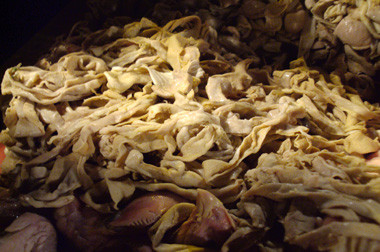 Sidak, Pemkot Temukan Ayam dan Udang Busuk di Pasar Modern