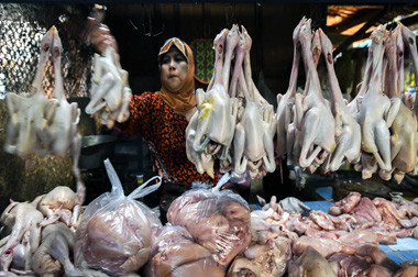 Pertengahan Puasa Harga Daging Ayam Melambung