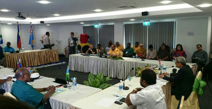 Raih Status Anggota MSG, Indonesia Siap Perkuat Kerja Sama Teknis