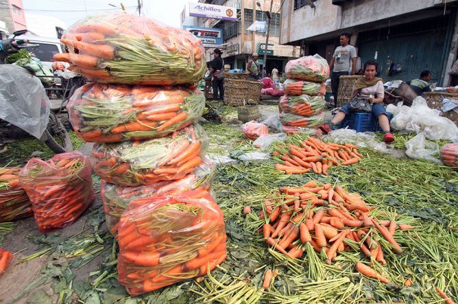 Harga Sayuran di Bengkulu Menurun