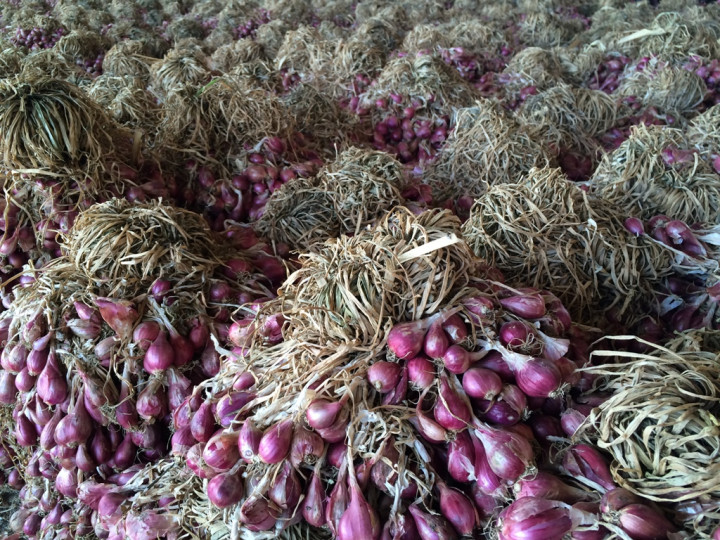 Cek Pasokan Bawang Merah, Mentan Tinjau Gudang Penyimpanan di Cirebon