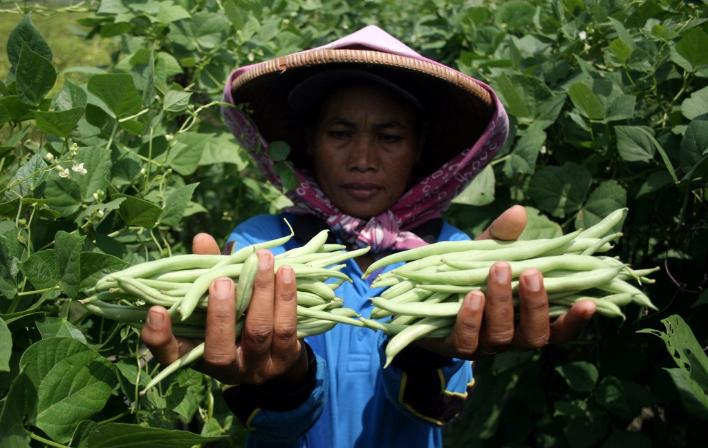 Ilustrasi (FOTO ANTARA/Rudi Mulya)
