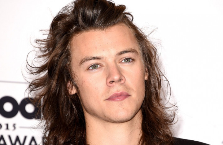 Harry Styles Dijadikan Tokoh Novel Erotis 