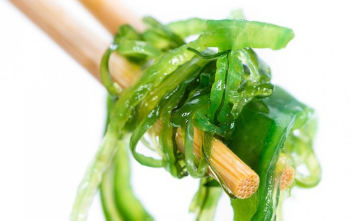 Ini Khasiat Rumput Laut