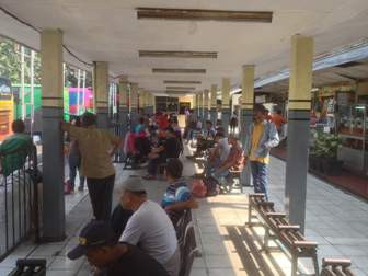 Calo Bebas Berkeliaran dan Beraksi di Terminal Pulogadung