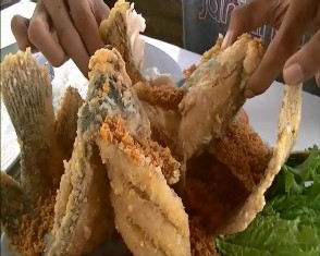 Gurami Kremes Padang Pasir <i>Bikin Gemes</i>