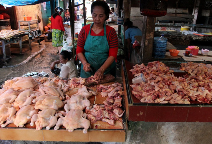Harga Ayam Potong di Sampit Kembali Naik