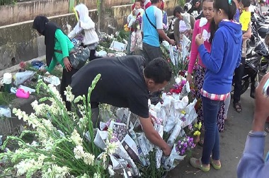 Bunga Aster Dipilih untuk Hiasi Rumah saat Idul Fitri