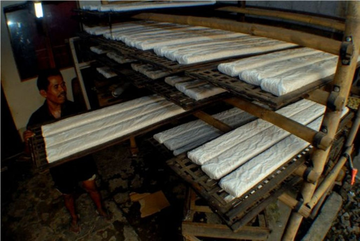 Petition to Support Tempe as Indonesian Cultural Heritage Tops Virtual World