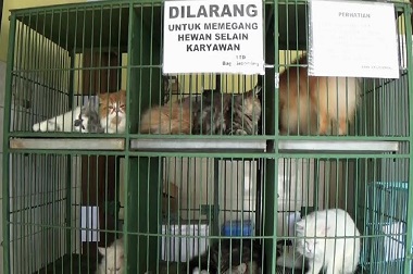 Jumlah Hewan yang Dititipkan Meningkat Jelang Lebaran  
