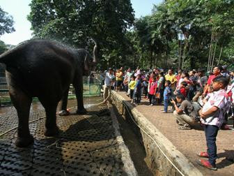 Ragunan Kebanjiran Ratusan Ribu Pengunjung