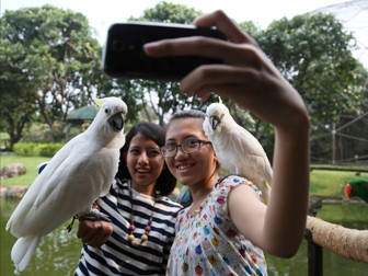 TMII Targetkan 300 Ribu Pengunjung selama Libur Lebaran