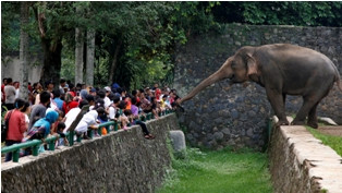 Capai 121 Ribu Pengunjung, Lalin Ragunan Tetap Lancar