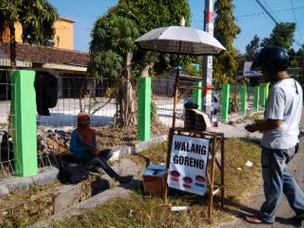 Seorang warga Gunungkidul saat berjualan belalang goreng. Foto: MTVN/Mustaqim