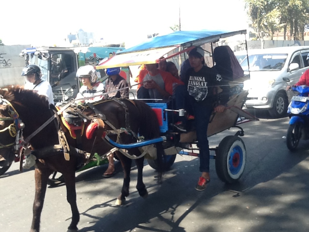 Delman sedang mengantar wisatawan mengitari Kota Bandung. Foto: MTVN/Roni