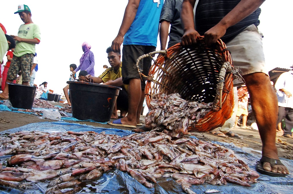 Nelayan di Pangkal Pinang Pilih Tangkap Cumi Cumi ...