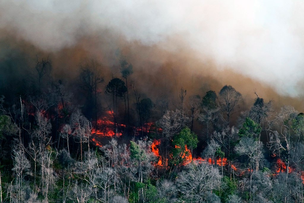 Bnpb Dampak Kebakaran Hutan Dan Lahan Di Riau Kian Serius 8528