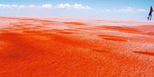 Kemarau Ubah Warna Air Danau di Turki