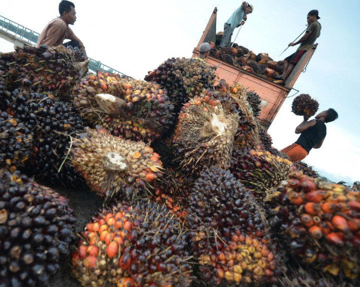 <i>Roadmap</i> Pengembangan BBN Biodiesel Harus Jelas