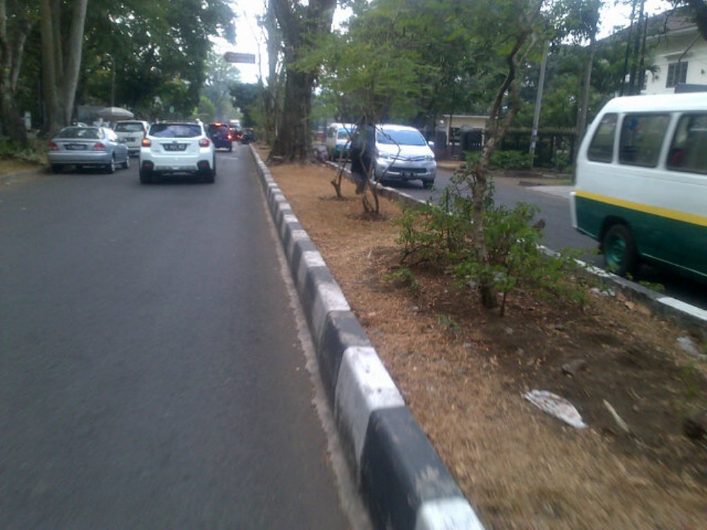 Rumput tanaman di median jalan di Kota Bandung mengalami mengering. Foto: MTVN/Roni
