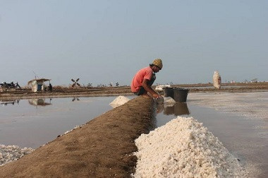 Petani Keluhkan Harga Garam Rp200 per Kg