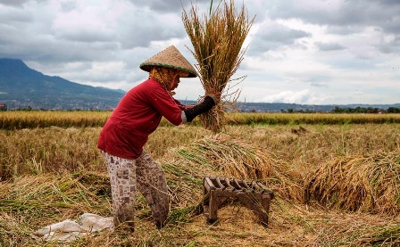 Kekeringan dan Konsolidasi Kelembagaan 