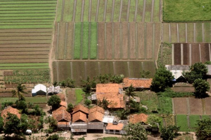 Anticipating Drought, Agriculture Minister Spends Rp800 Billion