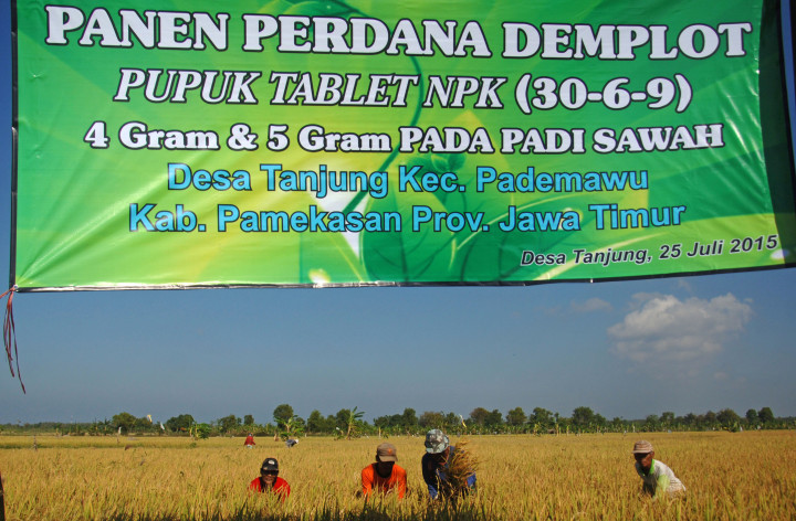 Iran Kena Sanksi, Pembangunan Pabrik Pupuk Harus Terus Lanjut