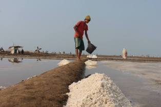 Petani: Tengkulak Hancurkan Harga Pasar Garam Lokal