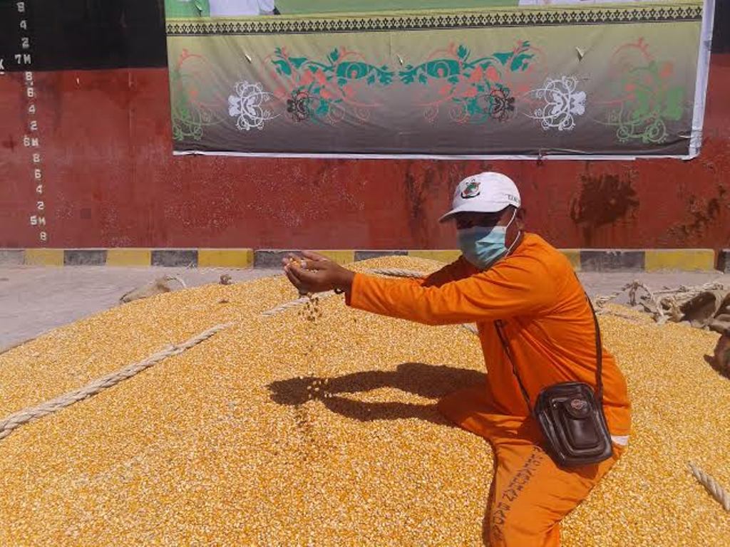 Jagung akan di ekspor ke Filipina (Foto: MTVN/Eko Nordiansyah)