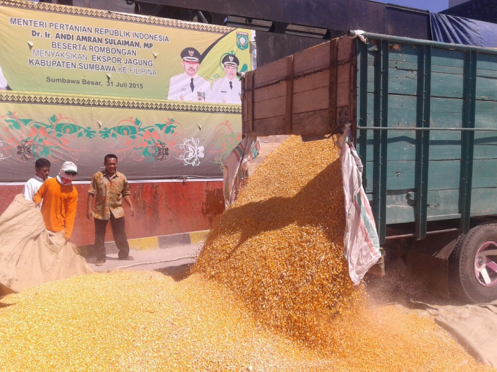 Mentan Minta Lahan Jagung Sumbawa Ditambah 2x Lipat