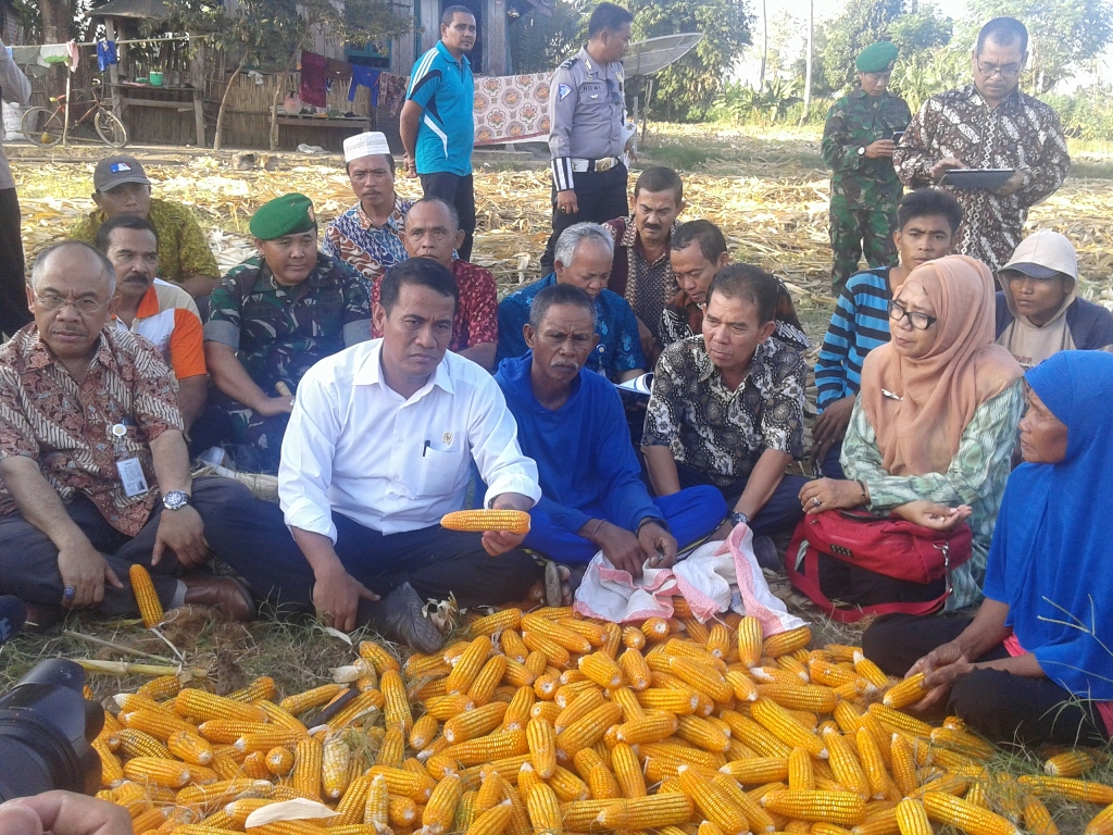 Mentan Amran Sulaiman saat mengunjungi Sumbawa. FOTO: MTVN/Eko Nordiansyah
