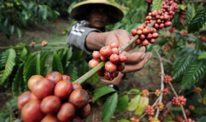 Harga Hasil Perkebunan Bali Naik