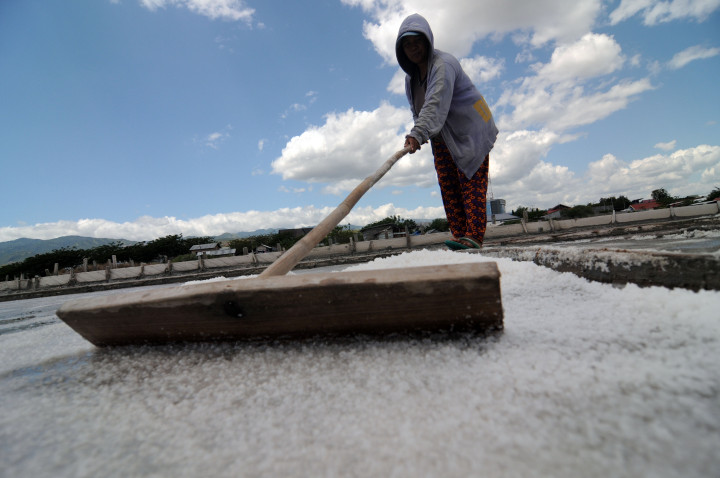 Garam Impor Harus Hanya untuk Industri 